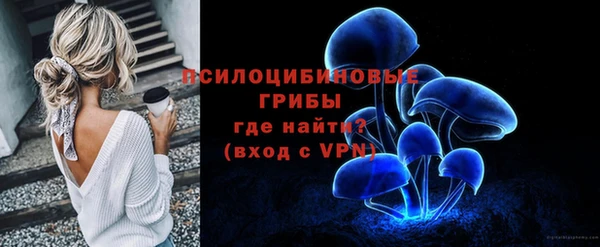 дмт Бронницы